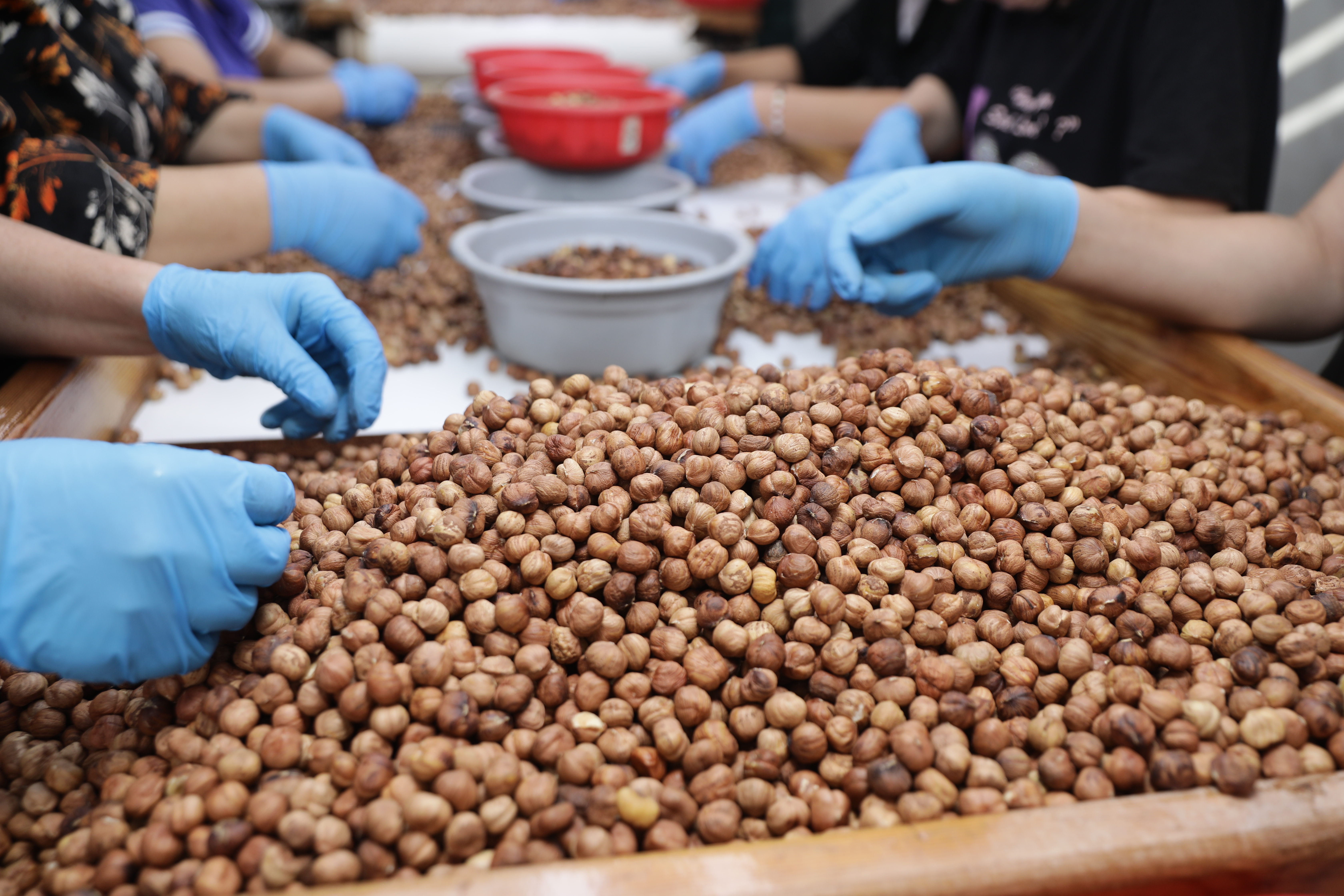 Close-up of kernels and gloves